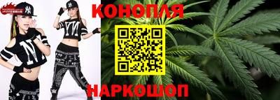 индика Пушкино