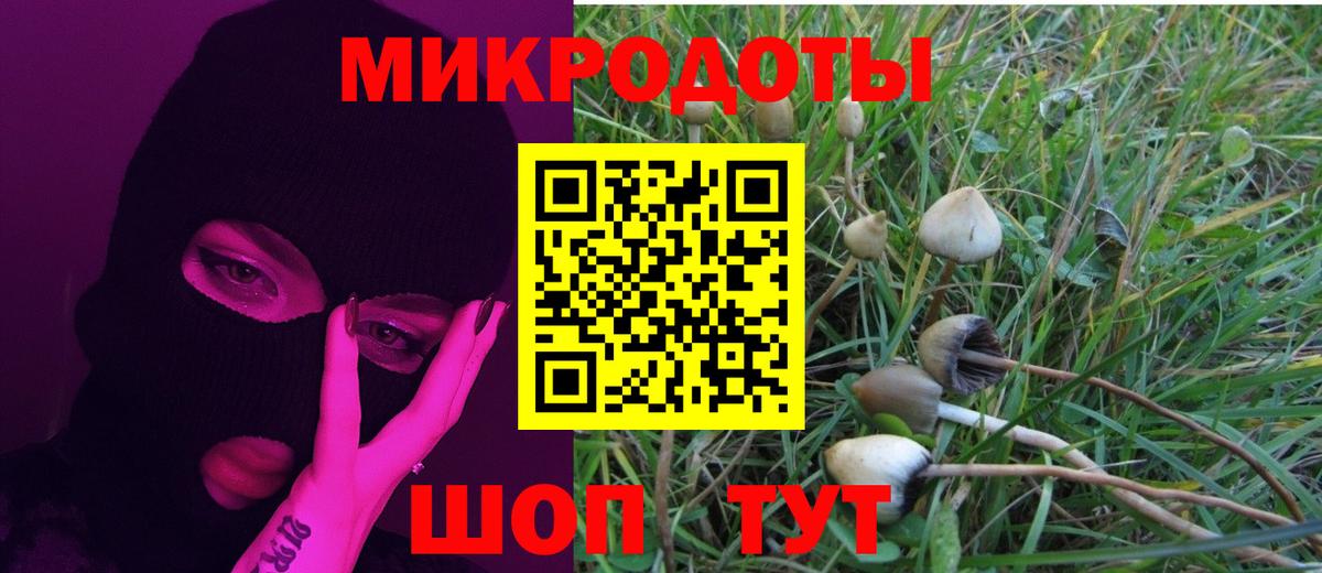 Рославль  Галлюциногенные грибы GOLDEN TEACHER  Псилоцибиновые грибы Psilocybe  Вход с VPN 
