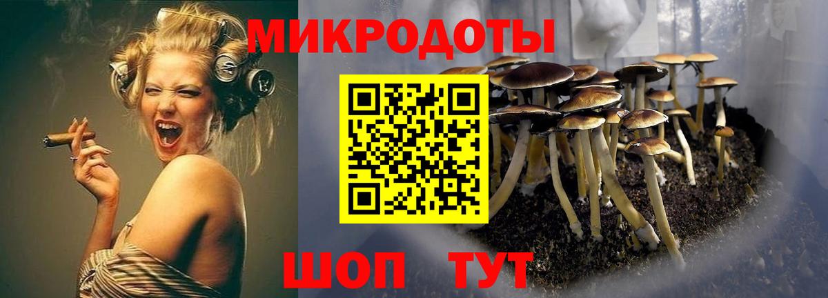Галлюциногенные грибы Magic Shrooms Рославль